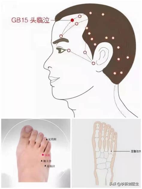 楊白穴|陽白穴丨足少陽膽經丨經脈穴位